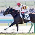 【注目馬動向】新馬戦を５馬身差で圧勝したニシノサリーナはクイーンＣへ　鞍上は引き続き池添謙一騎手