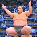 幕下・欧勝竜が連勝発進　若元春＆若隆景の兄に引き落とし「うまく対応できた」