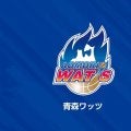法政大3年の鍋田憲伸が青森ワッツの特別指定選手に…182センチ75キロPG、関東2部で得点王