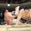 「宇良は死に体ではない」決まり手係の甲山親方が３日目の大の里戦について見解述べる