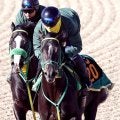 【京成杯】「やっぱり走る」斎藤誠調教師もほれぼれ　大敗のホープフルＳを叩いて調子が上向いたジーネキング　