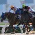 地方年度代表馬は東京大賞典Vのディクテオン NARグランプリの表彰人馬が発表