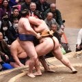 波乱の４日目、１横綱２大関が初黒星　大の里は義ノ富士に完敗、義ノ富士は２日連続金星　新大関安青錦は王鵬に、琴桜も一山本に敗れる　全勝は霧島、欧勝馬、阿炎