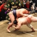 豊昇龍が３勝目　宇良に勝つ　前日の敗戦引きずらず