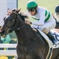 【京成杯】キセキ産駒がJRA重賞初挑戦初制覇なるか アクセスが無敗戴冠狙う