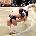 義ノ富士、大の里撃破２日連続金星　九重審判長「食いそうな雰囲気あった。大の里は脅威感じて」