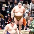安青錦、大関として初黒星…王鵬の圧力に屈するも「負けるのは初めてじゃない」と立て直し誓う
