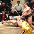 大相撲　義ノ富士の着物姿が「オシャレだなぁ」色鮮やかなオレンジにキリリ表情が絶妙にマッチ　国技館入りを相撲協会が公開