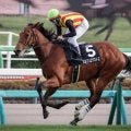 【京成杯出走馬・騎手確定】ポルフュロゲネトス＆横山武史騎手、ソラネルマン＆C.ルメール騎手など15頭