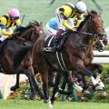 日経新春杯で複勝率83%のデータ 今年の該当馬は1頭のみ
