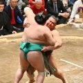 連日金星の義ノ富士が完勝で白星先行　元遠藤の北陣親方「勝負どころの勘の良さがある」
