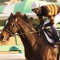 半兄は名馬キタサンブラック ラルクアンレーヴが武豊騎手でデビュー勝ちなるか