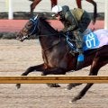 【日経新春杯】サブマリーナは巻き返しへ万全の態勢　庄野調教師「きれいなストライドになってきた」