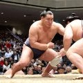 横綱豊昇龍は完勝　大関琴桜は敗れて２敗目　全勝は平幕の欧勝馬と阿炎の２人だけに