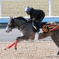 【ＰＯＧ】好時計マークのウインアプローチ　Ｇ１・２勝の父も管理した畠山調教師「何とかこの馬で勝ちたい」