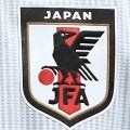 日本サッカー協会、U16代表監督に廣山望氏、U15代表監督に城和憲氏を選任