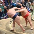 十両・嘉陽が４勝目「勝ちすぎかもしれない」　昨年末から部屋に設置した冬に欠かせない家具を明かす