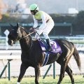 【注目馬動向】セイウンハーデスは中山記念から春３戦　最大目標は安田記念　鞍上は復帰する幸英明騎手