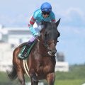 【注目馬動向】未完の大器が初のＧ１挑戦　ヤマニンウルスが武豊騎手とフェブラリーＳ参戦へ