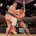 大相撲　交通網大混乱で出番早まる力士「アップがいつもよりできなかった」　光星竜が対応して無傷３連勝
