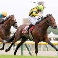２３年の目黒記念を制したヒートオンビートが競走馬登録抹消　今後は軽種馬育成調教センターで乗馬に