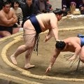 大相撲　立ち会い２度合わないハプニングもなんの！大の里が１敗キープ　豊昇龍＆安青錦も１敗追走　全勝は阿炎ただ１人