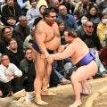 新大関安青錦、元大関高安のかちあげに動じず完勝　解説の境川親方「普通の力士なら…」