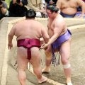 欧勝海、好調４連勝「千秋楽くらい疲れた」もリフレッシュの秘策あり「体のケアを兼ねて…」