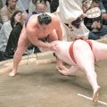 横綱・豊昇龍が１敗守る「集中して体に任せた」