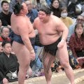 伯乃富士が４勝目　初対戦から４連敗だった玉鷲に連勝「自分の力がついてきているところもある」