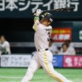 【ソフトバンク】2大会連続WBC出場の近藤健介「連覇が目標となりますし力になれるように…」