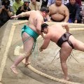 関脇・霧島、１敗キープ　取組前に「見てしまった」東方の力士の連敗も１０で止める
