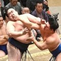 藤ノ川　２日目から５連勝　幕内最年少２０歳が快進撃！全身全霊の真っ向勝負に国技館も沸く「このまま頑張る」