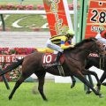 ヒートオンビートが登録抹消…乗馬へ