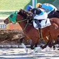 【中山３Ｒ・３歳新馬】ガムラスタンが差し切ってデビュー勝ち　横山琉人騎手「初戦としてはすごくいい内容」