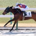 【京都４Ｒ・３歳新馬】ホウショウルクスが逃げ切り　復帰後初Ｖの角田大和騎手「調教から能力が高いと思っていた」