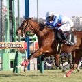 【中山９Ｒ・菜の花賞】アメティスタが初マイルに対応して勝利　横山武史騎手「何より、すごく素直」