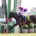 【京都１０Ｒ・紅梅Ｓ】リリージョワが４角先頭から３連勝　ルメール騎手「スタートから乗りやすかった」