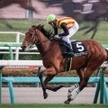 【京成杯予想】小回りコースで大型馬は不利!? 人気の一角でも過去傾向から好走に期待しづらい一頭とは