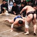 再入幕の朝乃山が全勝の阿炎を撃破　館内大声援　中継ゲストのシソンヌ・じろう「意地を見たような気がしました」