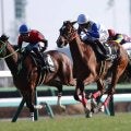 【菜の花賞】キタサンブラック産駒 アメティスタが連勝
