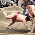 大の里が１敗守る　過去７勝１敗の大栄翔を退ける