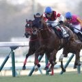 【カーバンクルS】9歳馬ウイングレイテストが混戦を制する