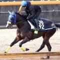 超良血馬まさかの大敗デビューにネット悲鳴「これはショック」「見せ場ゼロ」キタサンブラック半弟ラルクアンレーヴ