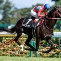 日経新春杯は逃げ先行馬に要注意 リビアングラス＆ヤマニンブークリエが好配提供だ