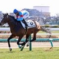 【中山５Ｒ・３歳新馬】４３頭除外の“超高倍率”レース　勝ったのは「強運の持ち主」サンプレクス