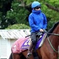 単勝１・３倍で思わぬ馬券圏外に「飛ぶんかい」「ホンマに萎えてる」実績最上位馬が敗れた中山７Ｒの波乱劇