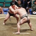 炎鵬が無傷４連勝で勝ち越し　自己最重量の要因は高級白米…５キロ「１万円ぐらい」衝撃告白