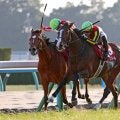 【日経新春杯】強い４歳世代から新星　ゲルチュタールが重賞初Ｖ　坂井瑠星騎手は８年連続の重賞勝利