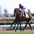 【中山7R】フィーリウスが抜け出す…断然人気レッドバンデは5着敗退